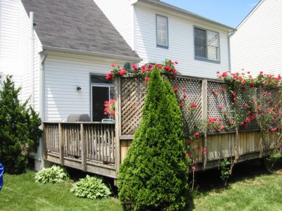 The Deck Again